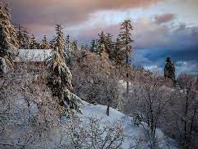 Running Springs, CA 
Cabin
Trees
Snow
Clouds