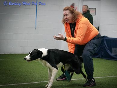 Woman in orange coaching a black and white dog indoors.