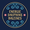 L'énergie des Dauphins et des Baleines
