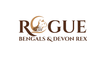 Rogue Bengals