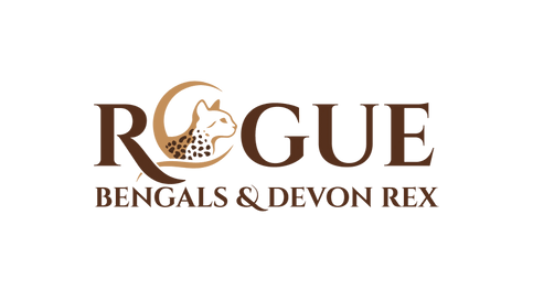 Rogue Bengals