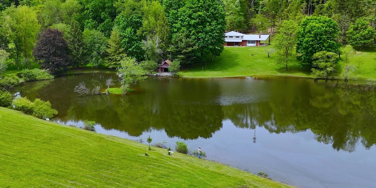 A serene lakeside scene with a house and lush green trees.