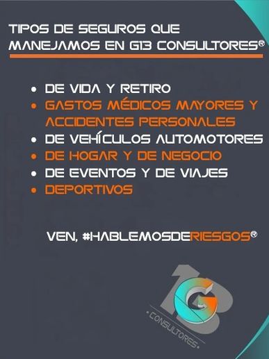 Tipos de seguros que ofrece G13 Consultores.