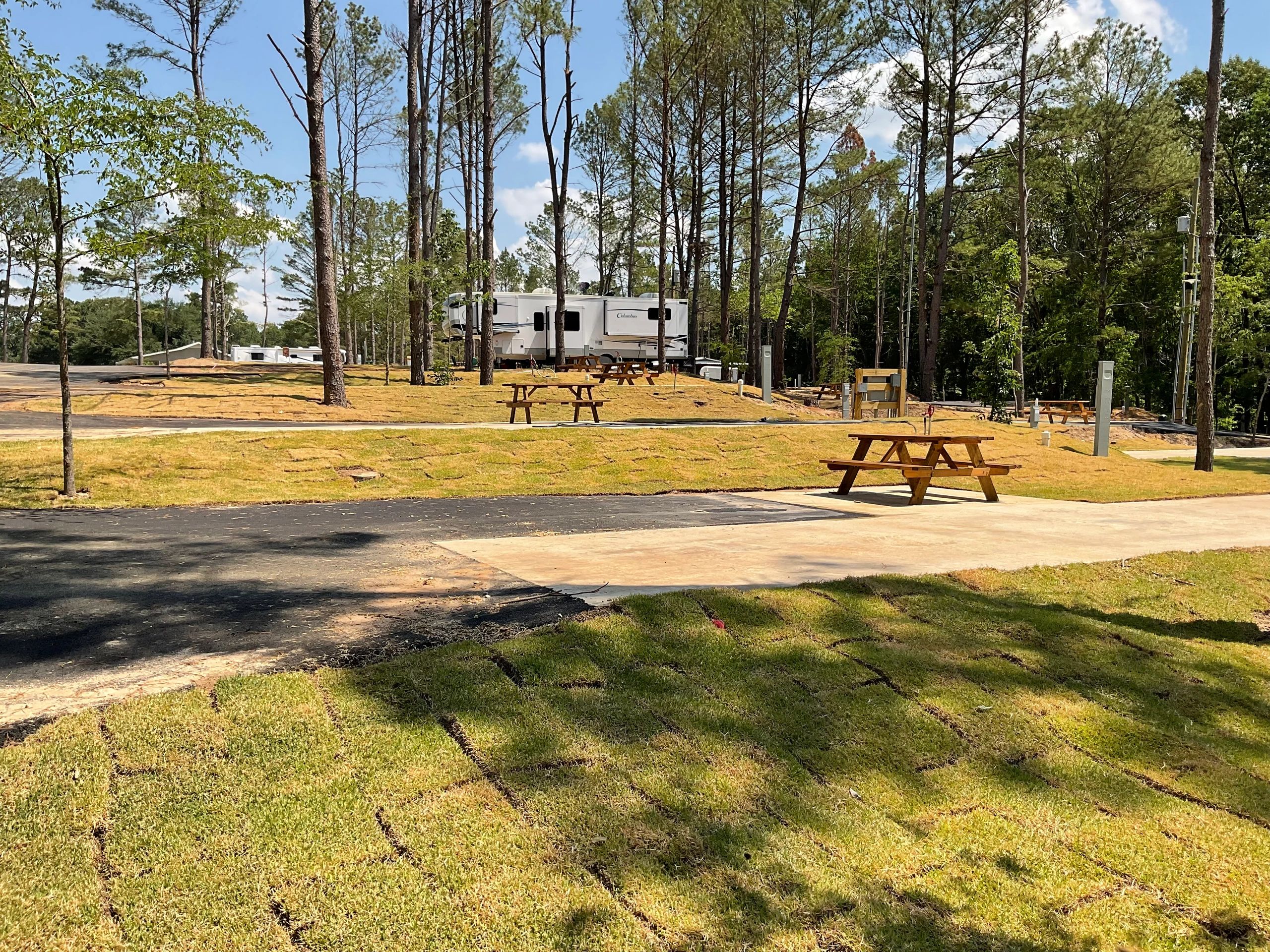 The Pines RV & Cabin Resort in Mount Vernon, Texas