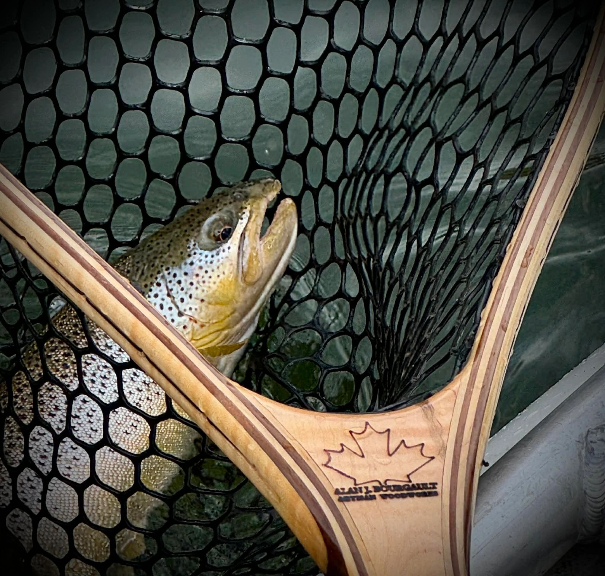 best trout fly fishing lures 24 Best Fly Fishing Flies For Trout  The Fly Crate