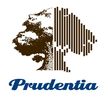 Prudential logo featuring a stylized rock and blue text.