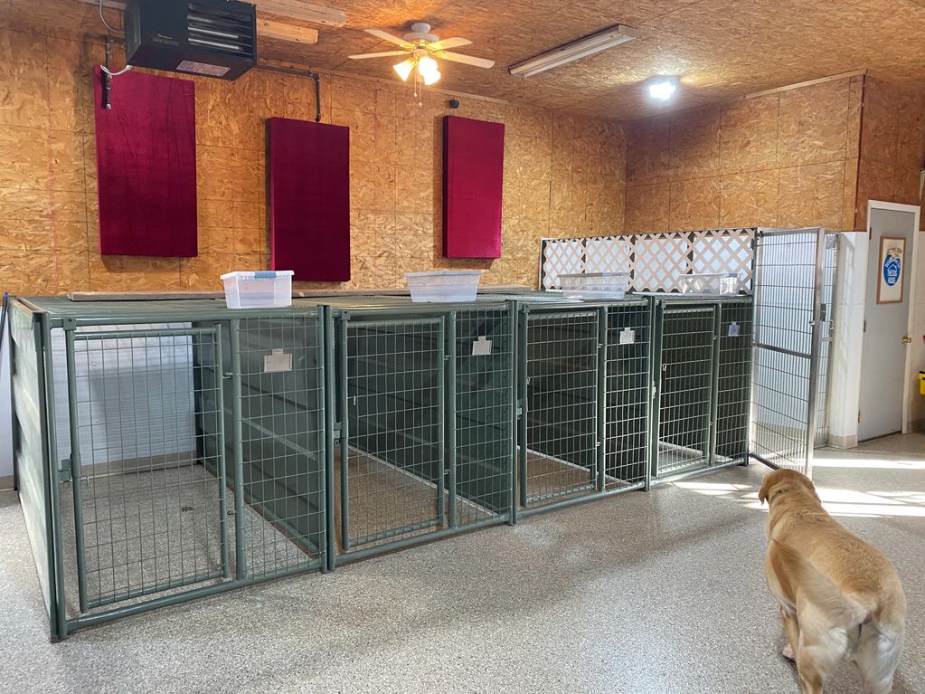 New flooring and kennels installed. 
