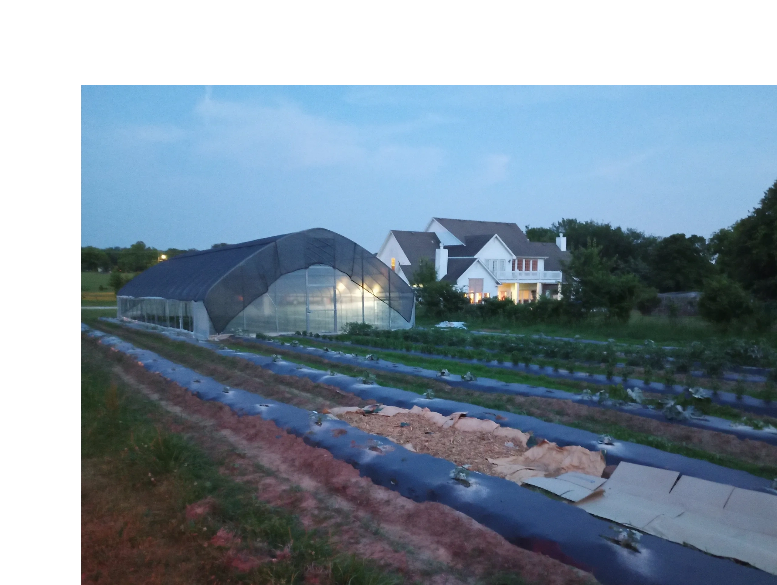 Farmers Market at Clark-Asberry Homestead Ranch