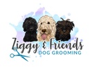 Ziggy & Friends Dog Grooming