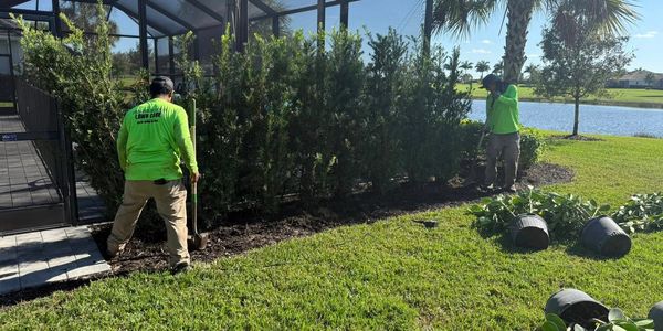 Shaw Exteriors professional landscaping crew installing privacy hedges and landscape enhancements. 
