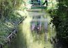 Monets garden and lily pond