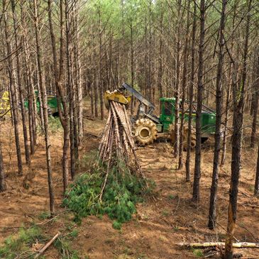 Logging tractor called a skidder gathering logs