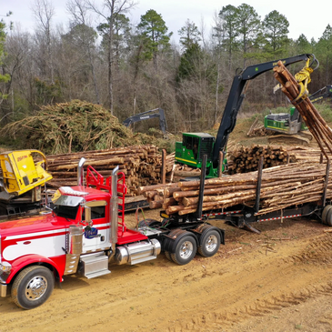 tractor loading logs on a logging truck