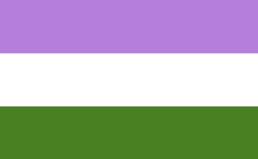 Genderqueer Pride flag - 2011