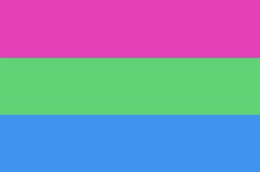 Polysexual Pride flag - 2012