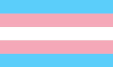 Trans Pride Flag - 1999