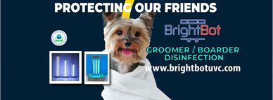 BrighBot UV sanitizes veterinary clinics and dog boarding uvc disinfection