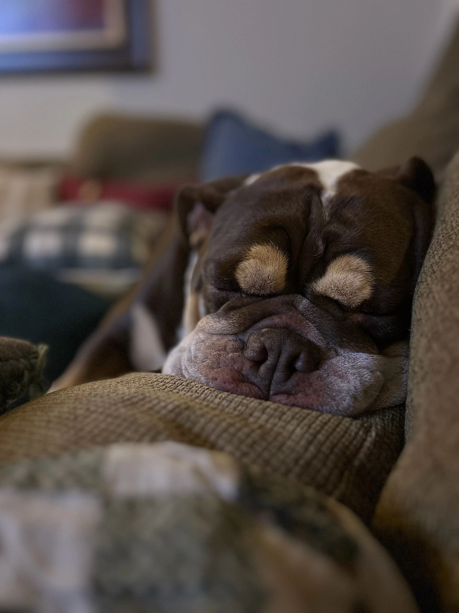 Nap time is the best time ️