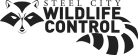 Steel City Wildlife Control
