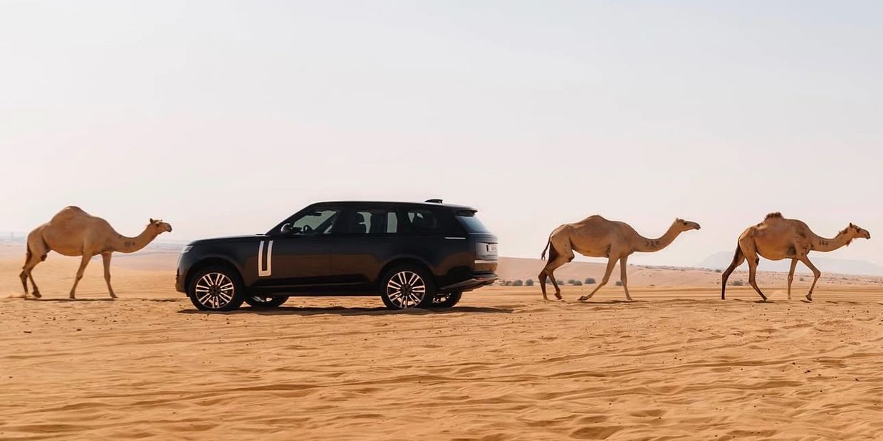 Range Rover and camels symbolising modern meets traditional 