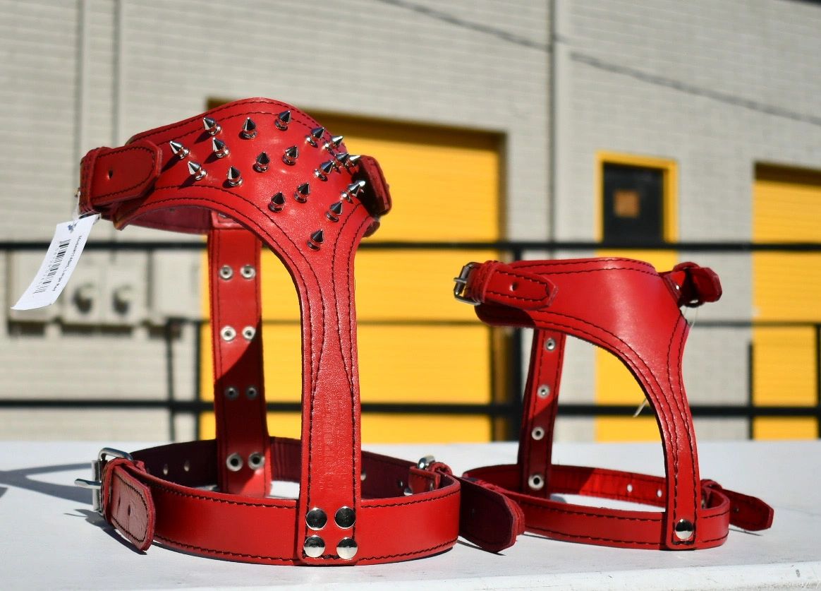 Top Dog Leather Harnesses and Leashes