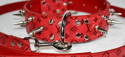 Designer Pet Collar and Leashes LV