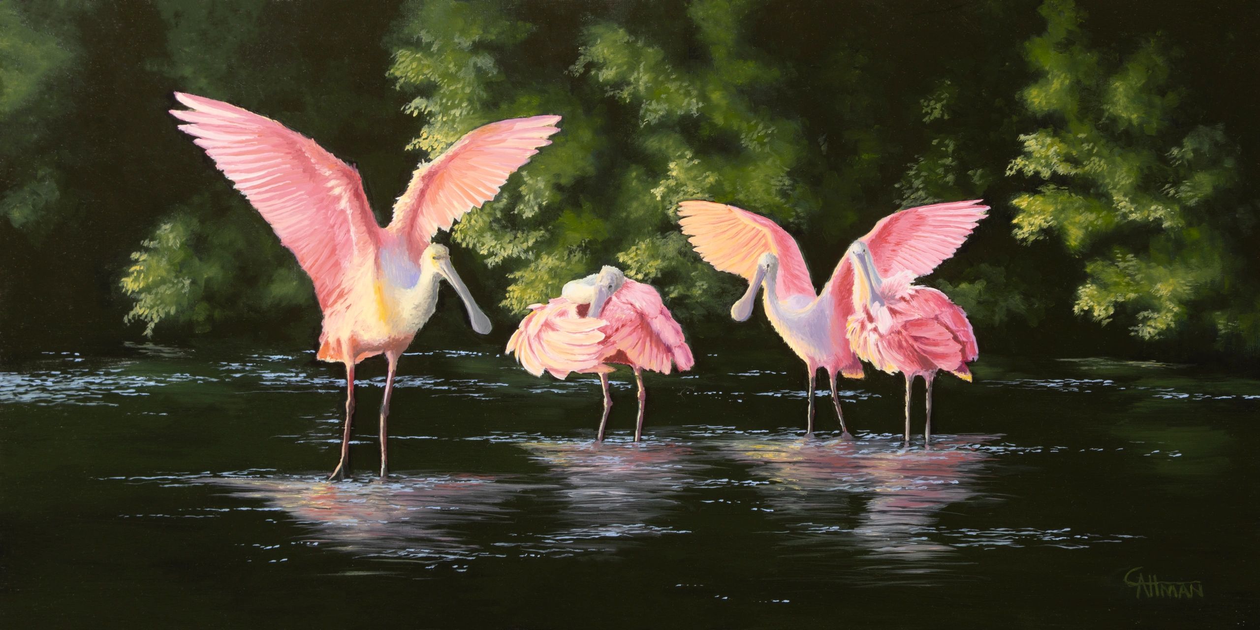 Gathering of Spoonbills in the Evening