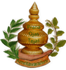 Amritavarshini Ayurveda