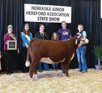 Nebraska Junior Hereford Association State Show
JC Cattle Company
Hereford Cattle
