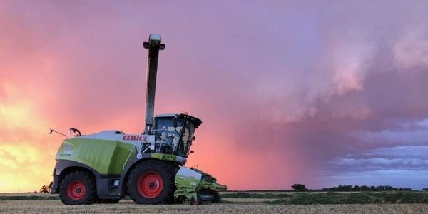 JC Harvesting
Harvestor
Grain Harvesting
Chop Silage
Custom Forage Harvesting
