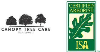 Canopy Tree Care, LLC