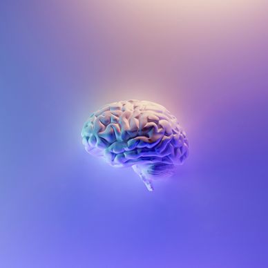 Human brain on purple haze background  