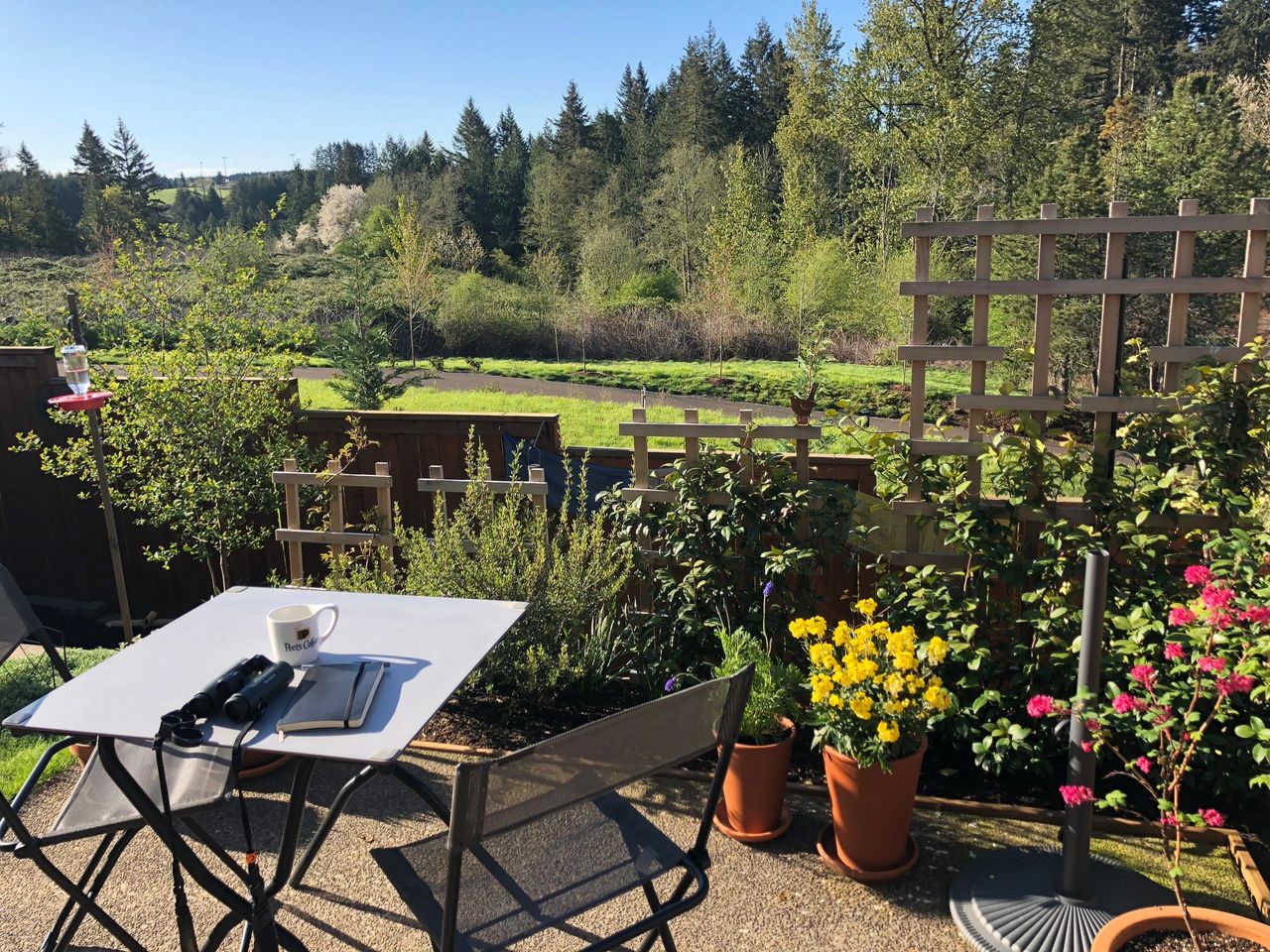 Backyards For Birds