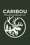 Caribou Tree and Landscape