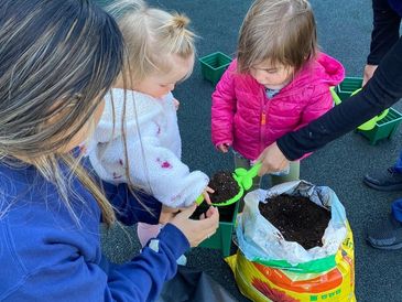 Totri Toddler Care South Orange NJ