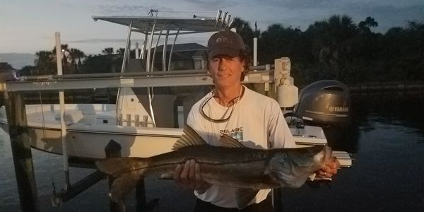 A member of the MWCA with a caught and released Snook off a dock on the Manchester Waterway