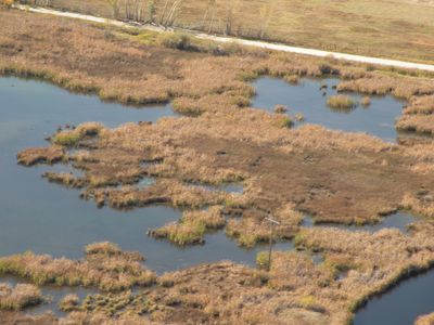 Aerial view of a marshland with patches of water and vegetation.