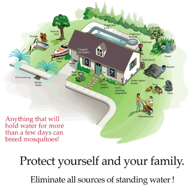 Diagram showing how to eliminate standing water sources around a home.