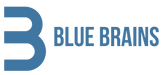 BLUE BRAINS 