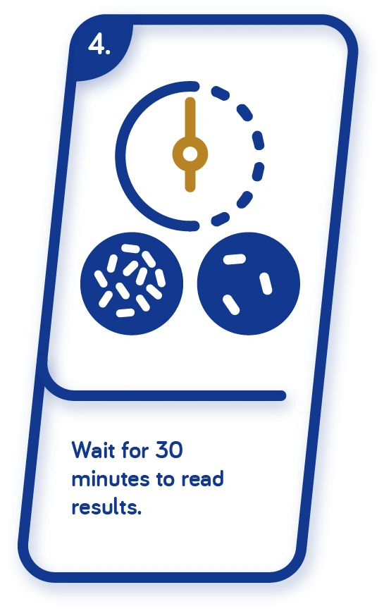 //img1.wsimg.com/isteam/ip/28c5ba2d-77e1-4a65-a676-aa5f65993152/Process%20Infographic%204.webp/:/rs=w:1300,h:800