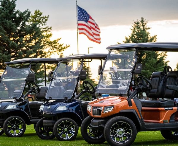 golf carts for sale Dover