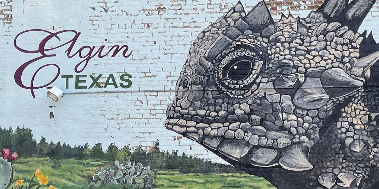 Mural of a horned lizard and text 'Elgin Texas' on a brick wall.