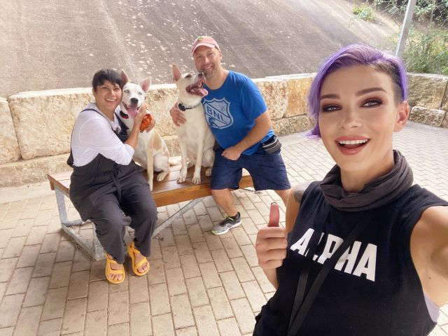Happy training client dog 6