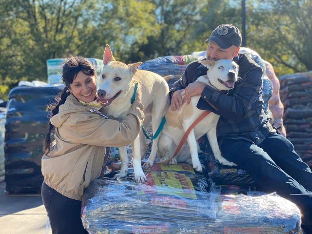Happy training client dog 5