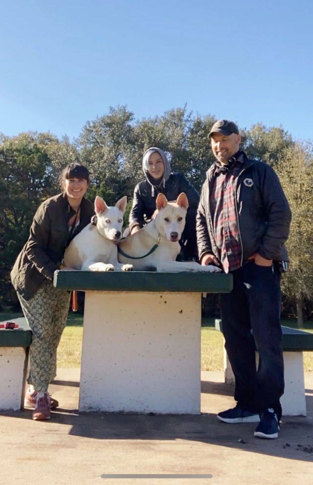 Happy training client dog 4