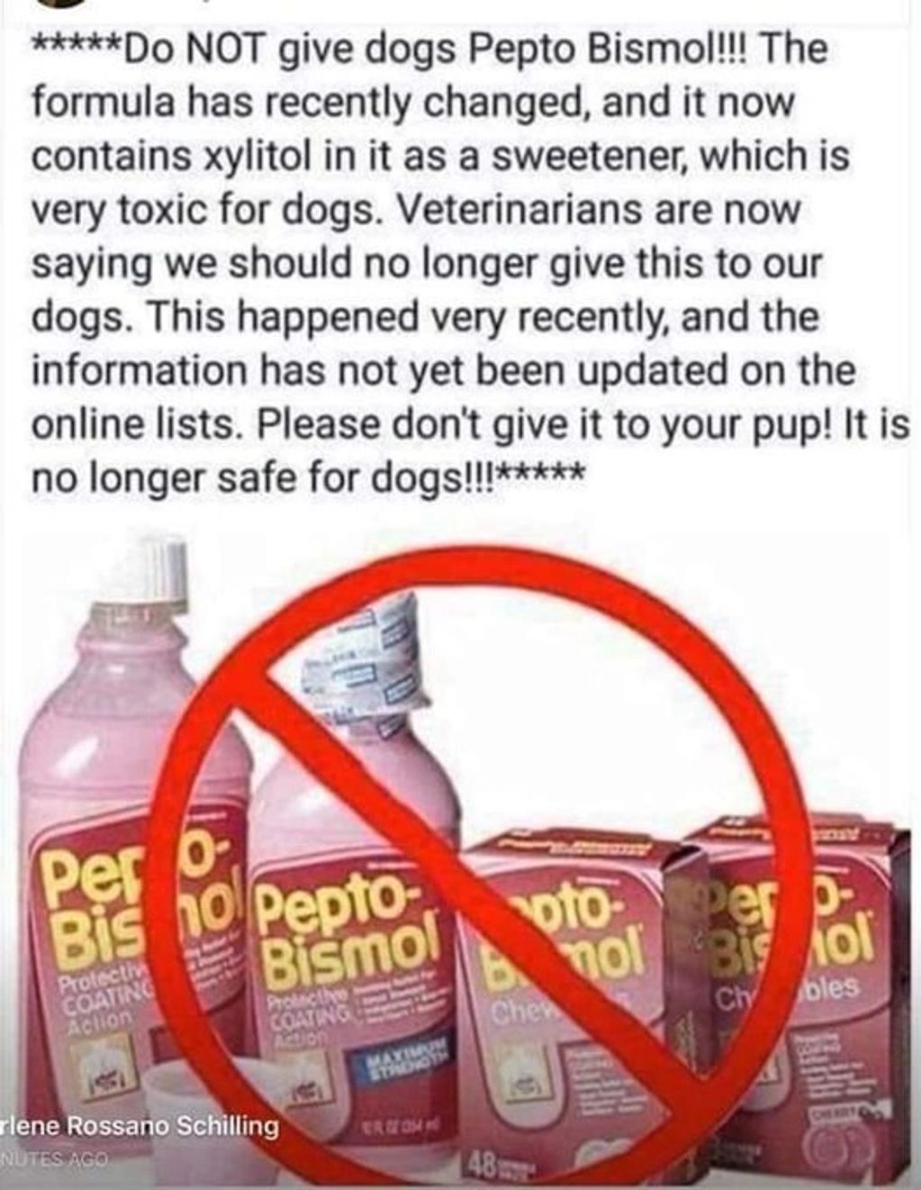 *****Do NOT give dogs Pepto Bismol!!!