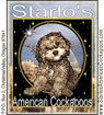 Starlo's American Cockapoos