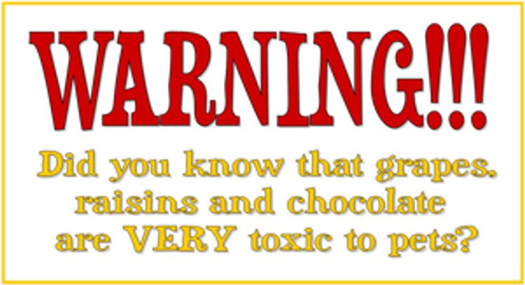 WARNING!!! Did you know that grapes, raising and chocolate are VERY toxic to pets?