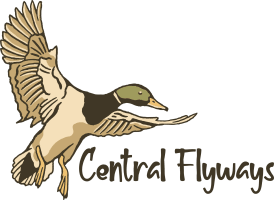 Central Flyways