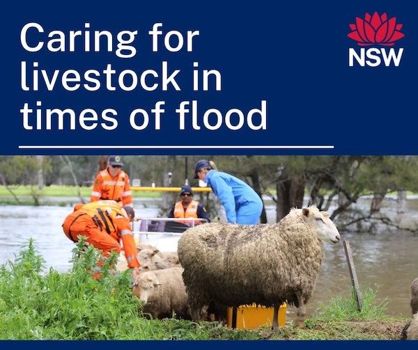 Mungindi Matters Issue 074 31 October 2022